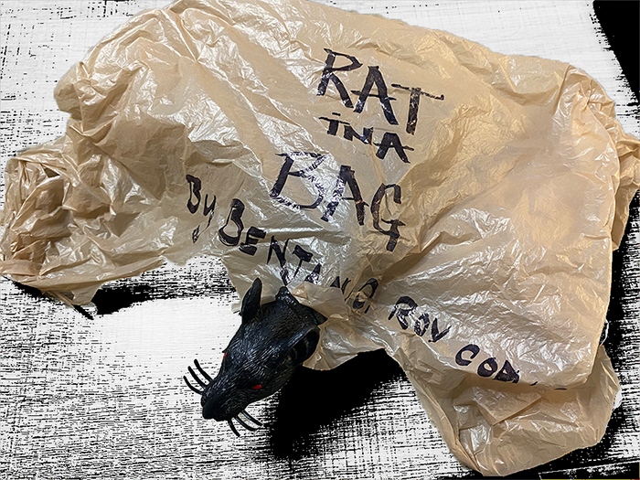 A rat pokes out of a bag with the text "Rat in a bag" written on it.